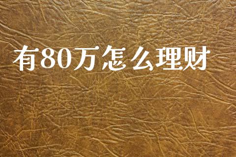 有80万怎么理财_https://www.fcdydaikuan.com_恒指期货直播_第1张