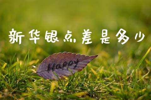 新华银点差是多少_https://www.fcdydaikuan.com_黄金期货直播_第1张