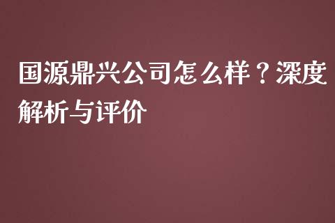 国源鼎兴公司怎么样？深度解析与评价_https://www.fcdydaikuan.com_黄金期货直播_第1张