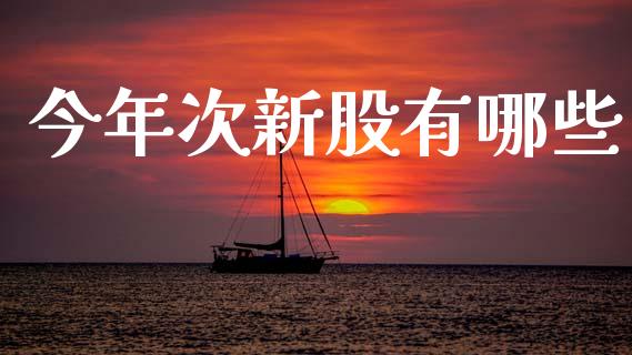 今年次新股有哪些_https://www.fcdydaikuan.com_德指期货直播_第1张