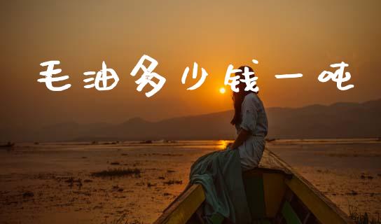 毛油多少钱一吨_https://www.fcdydaikuan.com_黄金期货直播_第1张