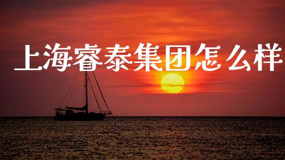 上海睿泰集团怎么样_https://www.fcdydaikuan.com_恒指期货直播_第1张
