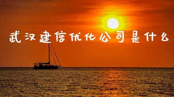 武汉建信优化公司是什么_https://www.fcdydaikuan.com_恒生指数直播室_第1张