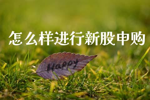 怎么样进行新股申购_https://www.fcdydaikuan.com_恒生指数直播室_第1张
