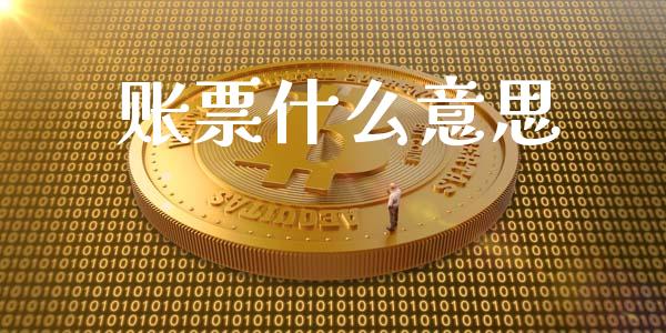 账票什么意思_https://www.fcdydaikuan.com_黄金期货直播_第1张