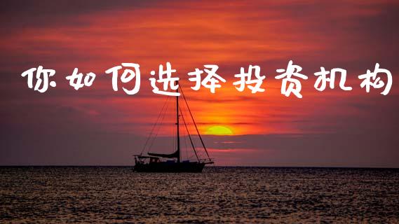 你如何选择投资机构_https://www.fcdydaikuan.com_恒指期货直播_第1张
