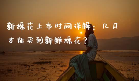 新棉花上市时间详解：几月才能买到新鲜棉花？_https://www.fcdydaikuan.com_恒生指数直播室_第1张