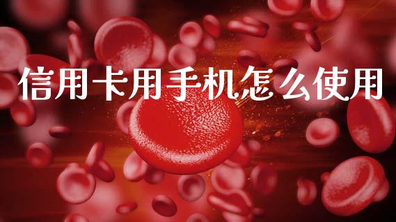 信用卡用手机怎么使用_https://www.fcdydaikuan.com_恒生指数直播室_第1张