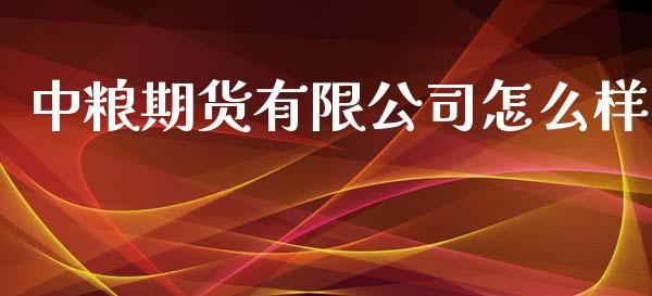 中粮期货有限公司怎么样_https://www.fcdydaikuan.com_恒生指数直播室_第1张
