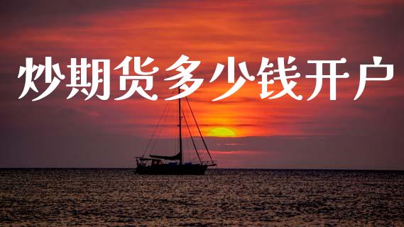 炒期货多少钱开户_https://www.fcdydaikuan.com_恒指期货直播_第1张