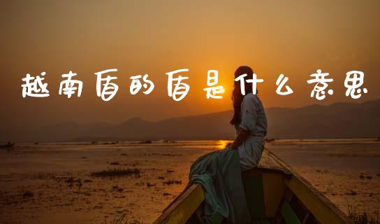 越南盾的盾是什么意思_https://www.fcdydaikuan.com_德指期货直播_第1张