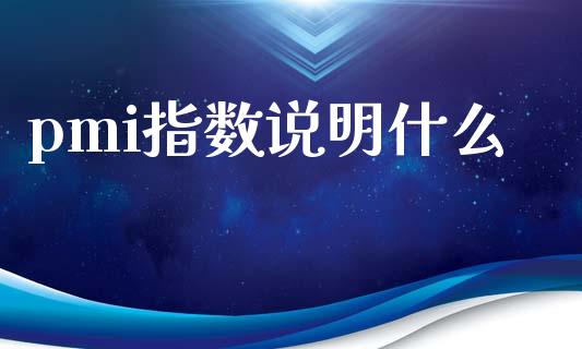pmi指数说明什么_https://www.fcdydaikuan.com_恒生指数直播室_第1张