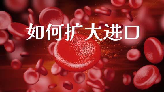 如何扩大进口_https://www.fcdydaikuan.com_恒指期货直播_第1张