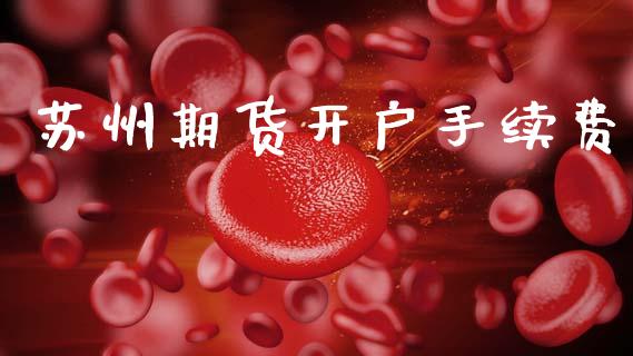 苏州期货开户手续费_https://www.fcdydaikuan.com_恒指期货直播_第1张