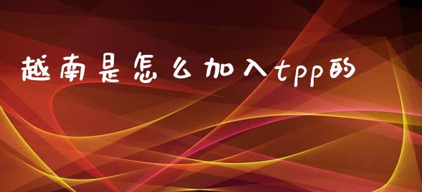 越南是怎么加入tpp的_https://www.fcdydaikuan.com_恒生指数直播室_第1张