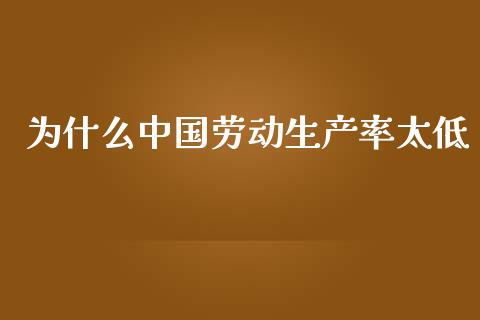 为什么中国劳动生产率太低_https://www.fcdydaikuan.com_德指期货直播_第1张
