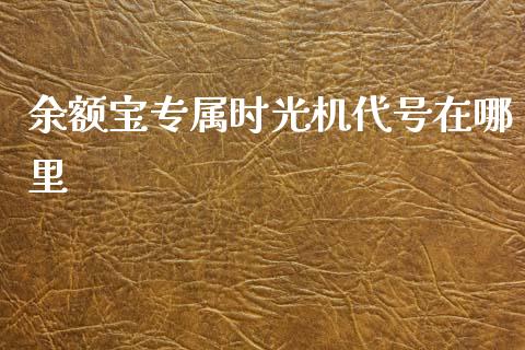 余额宝专属时光机代号在哪里_https://www.fcdydaikuan.com_德指期货直播_第1张
