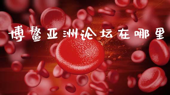 博鳌亚洲论坛在哪里_https://www.fcdydaikuan.com_恒生指数直播室_第1张