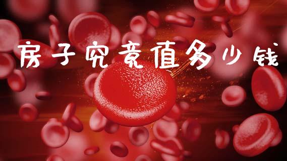 房子究竟值多少钱_https://www.fcdydaikuan.com_黄金期货直播_第1张