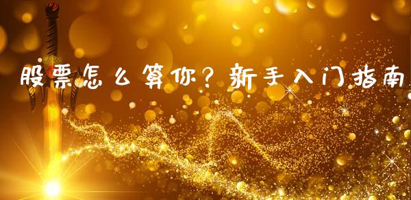 股票怎么算你？新手入门指南_https://www.fcdydaikuan.com_德指期货直播_第1张