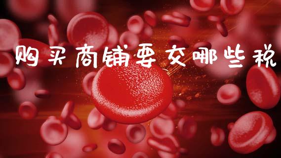 购买商铺要交哪些税_https://www.fcdydaikuan.com_恒生指数直播室_第1张