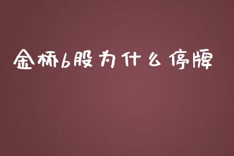 金桥b股为什么停牌_https://www.fcdydaikuan.com_黄金期货直播_第1张