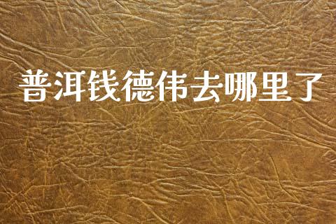 普洱钱德伟去哪里了_https://www.fcdydaikuan.com_黄金期货直播_第1张