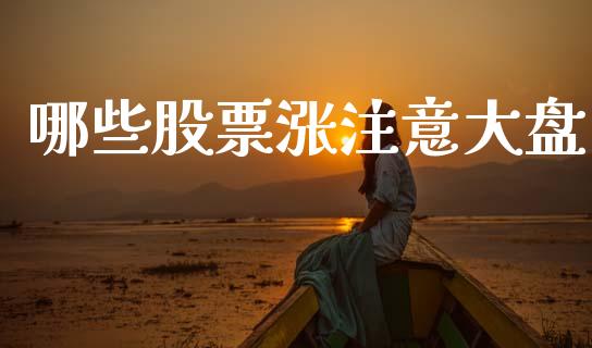 哪些股票涨注意大盘_https://www.fcdydaikuan.com_德指期货直播_第1张