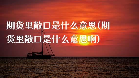期货里敞口是什么意思(期货里敞口是什么意思啊)_https://www.fcdydaikuan.com_德指期货直播_第1张