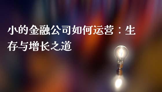 小的金融公司如何运营：生存与增长之道_https://www.fcdydaikuan.com_恒生指数直播室_第1张