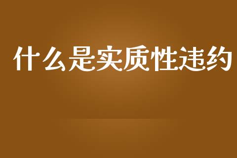 什么是实质性违约_https://www.fcdydaikuan.com_黄金期货直播_第1张