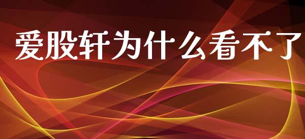 爱股轩为什么看不了_https://www.fcdydaikuan.com_黄金期货直播_第1张