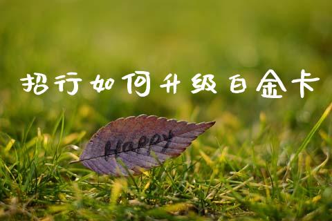 招行如何升级白金卡_https://www.fcdydaikuan.com_黄金期货直播_第1张
