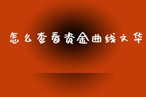 怎么查看资金曲线文华_https://www.fcdydaikuan.com_德指期货直播_第1张