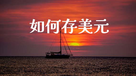 如何存美元_https://www.fcdydaikuan.com_黄金期货直播_第1张
