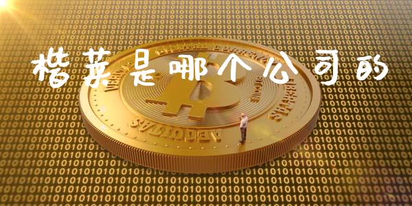 楷莱是哪个公司的_https://www.fcdydaikuan.com_黄金期货直播_第1张