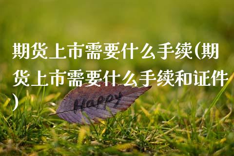 期货上市需要什么手续(期货上市需要什么手续和证件)_https://www.fcdydaikuan.com_德指期货直播_第1张