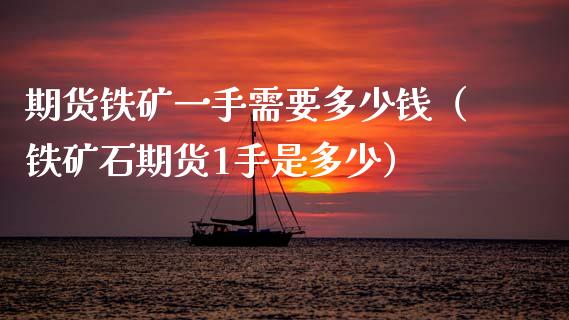 期货铁矿一手需要多少钱（铁矿石期货1手是多少）_https://www.fcdydaikuan.com_恒指期货直播_第1张