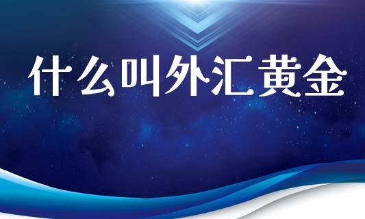 什么叫外汇黄金_https://www.fcdydaikuan.com_恒指期货直播_第1张