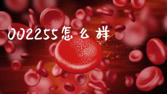 002255怎么样_https://www.fcdydaikuan.com_恒指期货直播_第1张