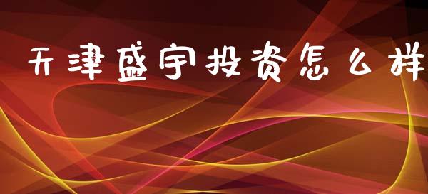 天津盛宇投资怎么样_https://www.fcdydaikuan.com_德指期货直播_第1张