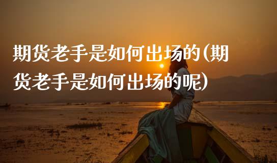 期货老手是如何出场的(期货老手是如何出场的呢)_https://www.fcdydaikuan.com_恒指期货直播_第1张