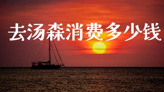 去汤森消费多少钱_https://www.fcdydaikuan.com_恒指期货直播_第1张
