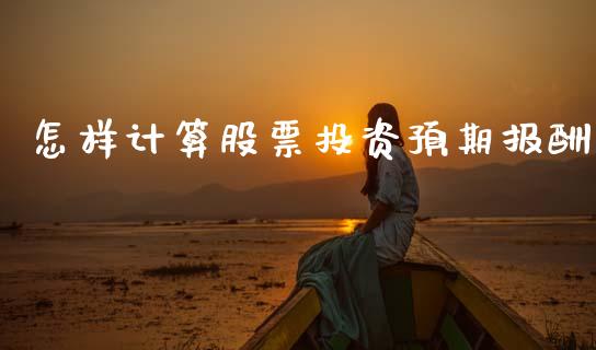 怎样计算股票投资预期报酬_https://www.fcdydaikuan.com_德指期货直播_第1张