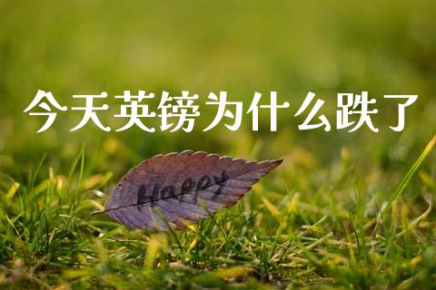 今天英镑为什么跌了_https://www.fcdydaikuan.com_德指期货直播_第1张