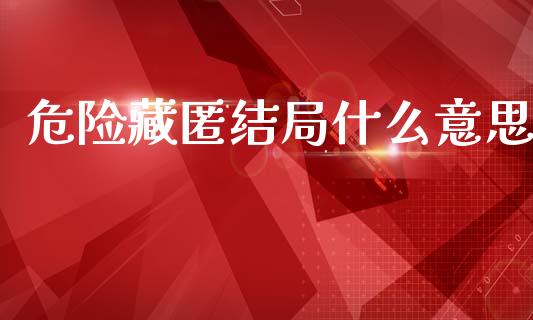 危险藏匿结局什么意思_https://www.fcdydaikuan.com_恒生指数直播室_第1张