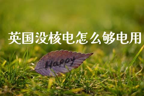 英国没核电怎么够电用_https://www.fcdydaikuan.com_恒生指数直播室_第1张