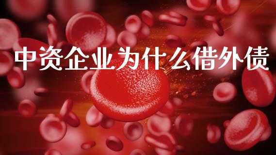 中资企业为什么借外债_https://www.fcdydaikuan.com_恒指期货直播_第1张