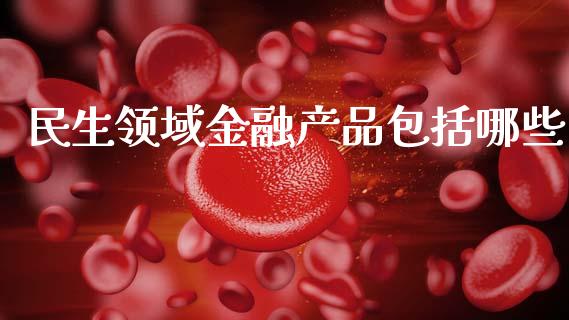 民生领域金融产品包括哪些_https://www.fcdydaikuan.com_恒指期货直播_第1张