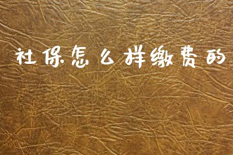 社保怎么样缴费的_https://www.fcdydaikuan.com_黄金期货直播_第1张